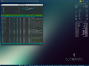 Openbox Bunsen Helium