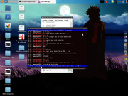 LXDE lxde e irssi