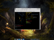 Xfce Morto na dungeon 11
