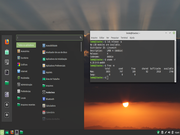 Cinnamon LMDE 4 Beta