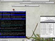 Enlightenment Enlightenment 0.17