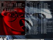 Blackbox grsecurity