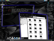 IceWM LXDE_COMPIZ