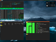 TWM Manjaro 16.10 + i3wm + conky