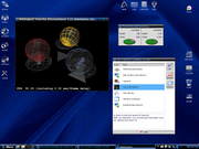 IceWM Puppy Linux
