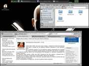 IceWM Jwm + PCmanFM + Swiftweasel