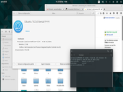 Pantheon elementary OS loki-beta1