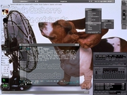 Blackbox Cachorro quente esfriando