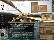 Blackbox Drag&atilde;o dourado