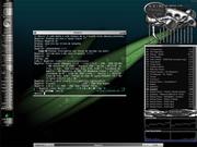 Blackbox Slackware ap&oacute;s a chuva ...