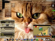 Blackbox O gato