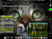 Blackbox O gato 2