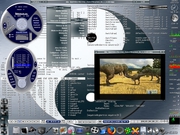 Blackbox Slackware Yin Yang