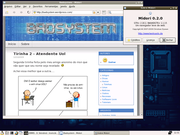 LXDE Testando o novo Midori 0.2.0