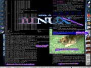 Window Maker 1280x1024 em monitor 19"