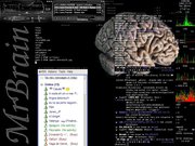 Enlightenment BlackBrain