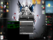 Enlightenment E17 Run Everything