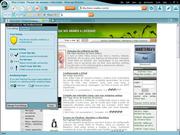 TWM Netscape 8