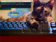 Xfce Ok Donkey