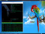 MATE Parrot OS