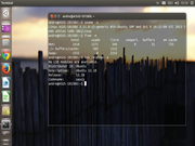 Unity Saucy no Netbook