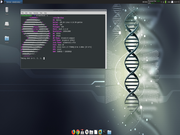 Xfce Gentoo + XFCE