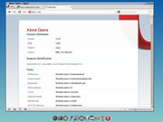 TWM Opera 11 no Tiny Core (no HD)