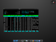 Enlightenment Testando MacPUP 5.5.0