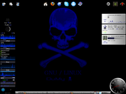Fluxbox Fedora 9 + Gdesklets + Gkrellm + Transmission + Mercury Messenger + isso dai..