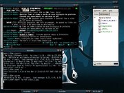 Blackbox Slackware 9.0