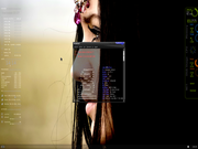XFWM Slackware 13.37 amd 64.