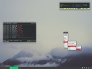 Openbox #!
