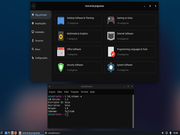 MATE Solus 4.0