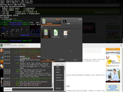 Enlightenment E17's Everything + Chromium + Terra terminal + Hexchat