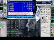 Window Maker Meu SuSE 9 Professional