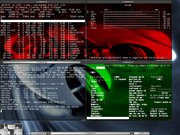 Blackbox slackware - terms