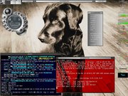 Blackbox meu cachorro