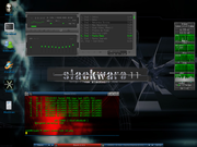 Fluxbox Slackware 13 - Fluxbox - Eterm - Gkrellm -Xmms