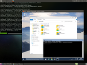 MATE Win 10