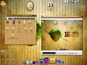 Enlightenment E17 Bodhi Wood theme - No Debian