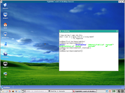 TWM XPDE